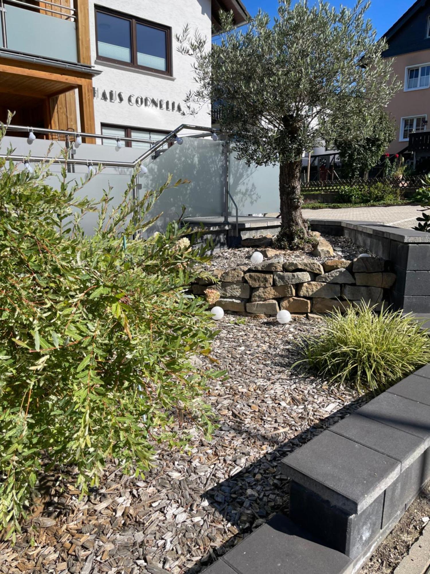 Haus Cornelia Διαμέρισμα Einruhr Εξωτερικό φωτογραφία